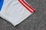25-26 Bayern Grey Polo Tracksuit #C2547