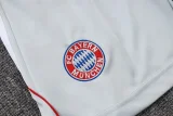 2025-26 Bayern Grey Training Short Suit #D25128