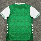 25-26 Saint Etienne Home Fans Soccer Jersey