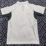 25-26 Panathinaikos White Fans Soccer Jersey
