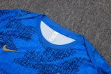 2025-26 France Fancy blue Training Short Suit #D25137