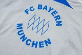 2025-26 Bayern Grey Training Short Suit #D25128