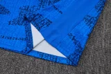 2025-26 France Fancy blue Training Short Suit #D25137