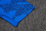 2025-26 France Fancy blue Training Short Suit #D25137