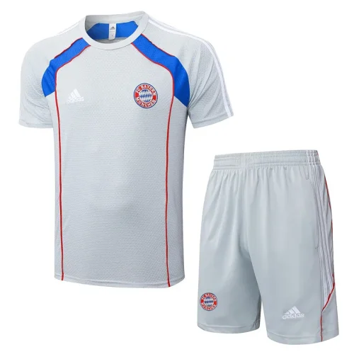 2025-26 Bayern Grey Training Short Suit #D25128