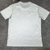 24-25 Algeria Light Green Special Edition Fans Training shirts