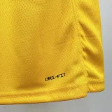 22-23 Lakers AYTON #5 Yellow Top Quality Hot Pressing NBA Jersey(圆领)