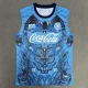25-26 Napoli Blue Vest