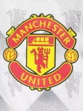 25-26 Man Utd Grey White Special Edition Player Version Training shirts