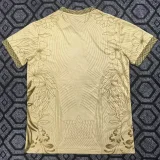 25-26 Brazil Gold Special Edition Training shirts