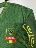 25-26 Mali Green Player Version Soccer Jersey