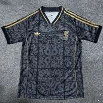 25-26 LIV Grey Black Special Edition Training shirts