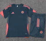 25-26 Bayern Dark gray Training Short Suit #D25169