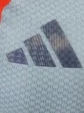 25-26 Japan Grey Blue Player Version Soccer Jersey