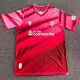 25-26 Bolton Wanderers Third Fans Soccer Jersey
