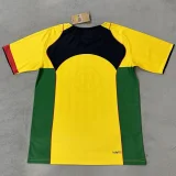 25-26 NK Yellow Green Fans Training Shirts
