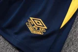 25-26 Santos FC Royal blue Tank top and shorts suit