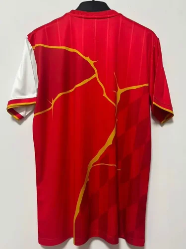 25-26 Bayern Red Special Edition Training shirts