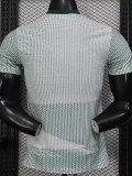 2026 Mexico World Cup Culture Promotion Green Player Version Training shirts