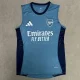 2025-26 ARS Blue Vest