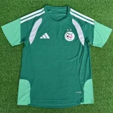 26-27 Algeria Green Player Version Training shirts