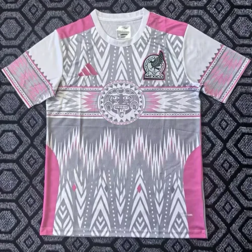 2025-26 Mexico Grey Pink Special EditionTraining Shirts