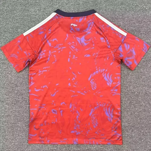 2026-27 Costa Rica Home Fans Soccer Jersey