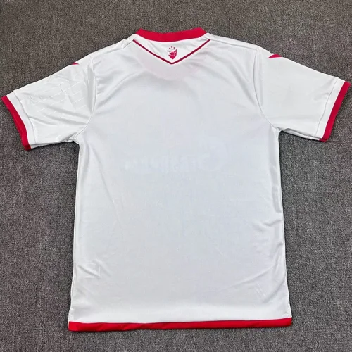 2025-26 Crvena Zvezda Away Fans Soccer Jersey (红星队)