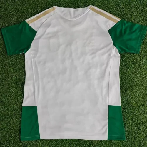 2026-27 Italy White Training shirts