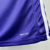 2025-26 Lakers REAVES #15 Purple Top Quality Hot Pressing NBA Jersey (Trapeze Edition) 飞人版