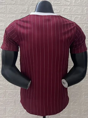2025-26 Ajax Casual Brown Red Player Version Training shirts