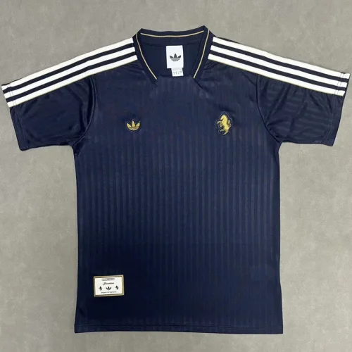 2025-26 JUV Royal Blue Casual Edition Training shirts (宝蓝)