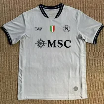 2025-26 Napoli Grey Goalkeeper Soccer Jersey (灰色)
