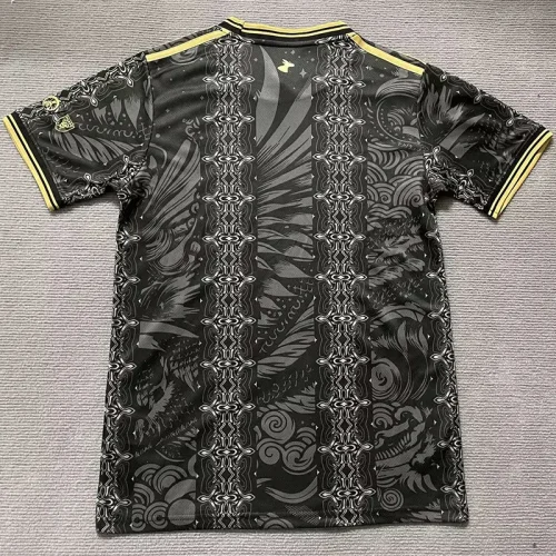2025-26 Argentina Black Gold Special Edition Training shirts