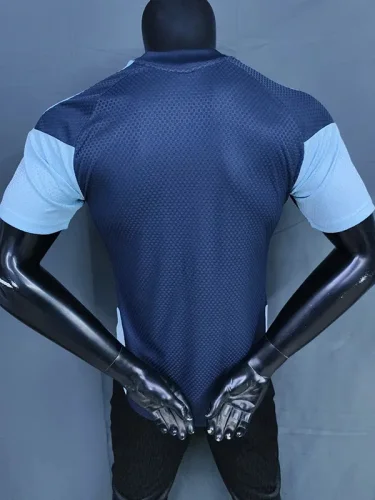 2026-27 Argentina Royal blue Player Version Training shirts