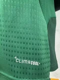 2026-27 Mexico Green Player Version Training shirts
