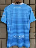2025-26 Fiorentina Third Fans Soccer Jersey (广告版)