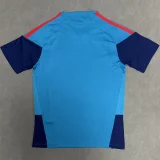 2026-27 Spain Blue Training shirts
