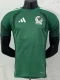 2026-27 Mexico Green Player Version Training shirts
