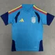2026-27 Spain Blue Training shirts