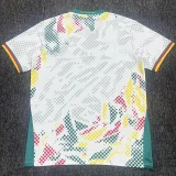2026-27 Cameroon Away Fans Soccer Jersey
