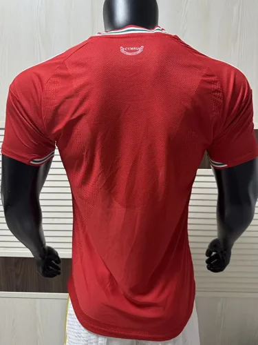 2026-27 Wales Home Player Version Soccer Jersey