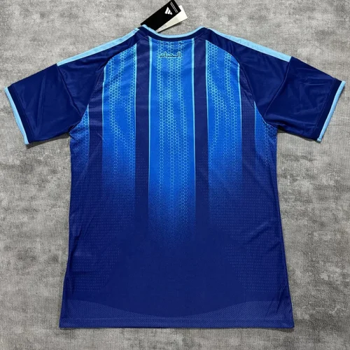 26-27 Algeria Royal blue Fans Training shirts