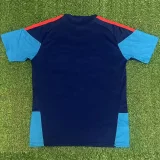 26-27 Spain Royal blue Training shirts