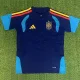 26-27 Spain Royal blue Training shirts