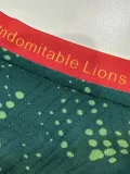 26-27 Cameroon Home Player Version Soccer Jersey