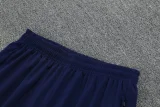 25-26 France Fancy blue Polo Tracksuit