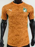 26-27 Ivory Coast Orange Player Version Soccer Jersey