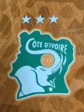 26-27 Ivory Coast Orange Player Version Soccer Jersey