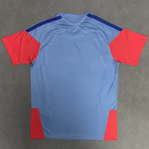 26-27 Japan Grey Fans Training shirts